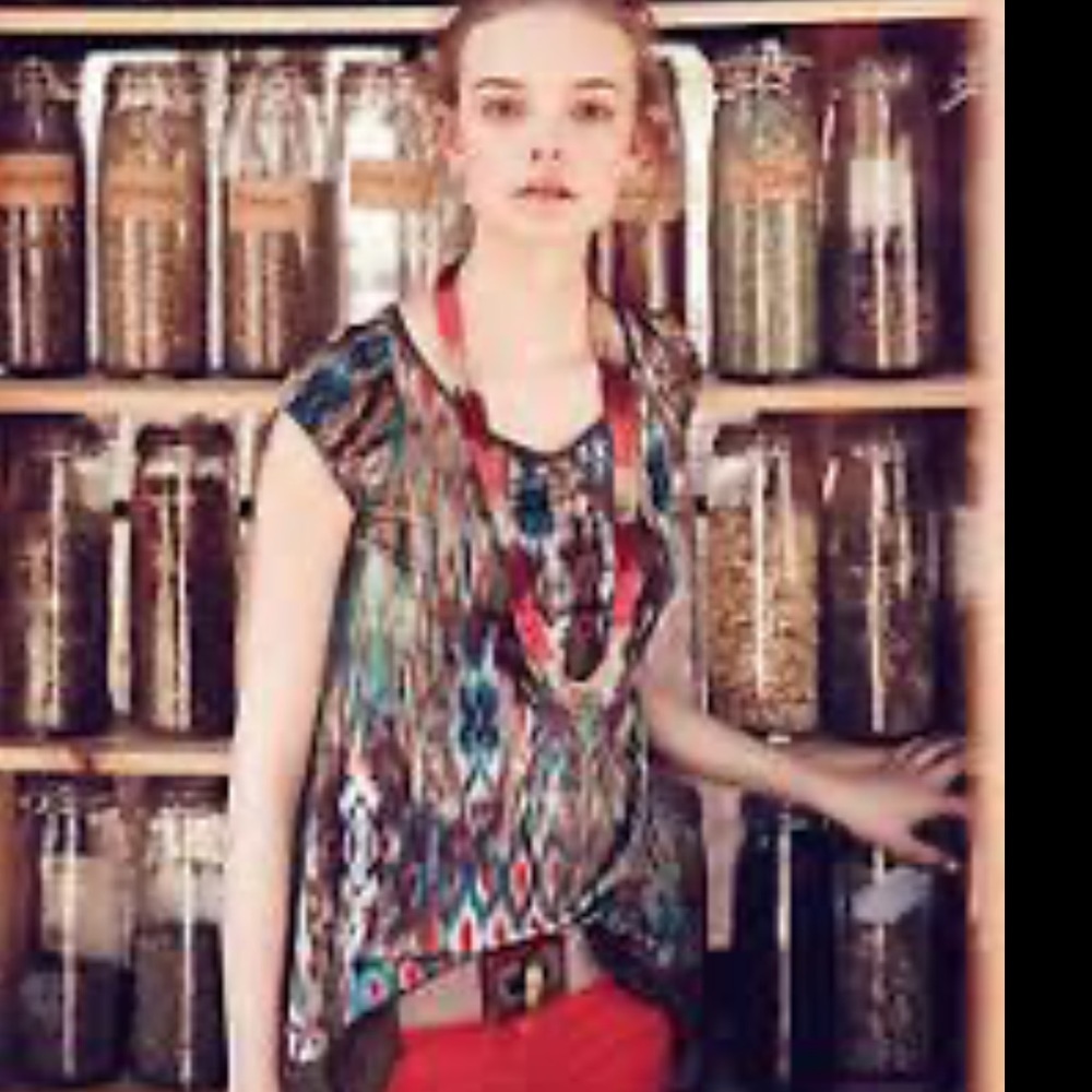 ANTHROPOLOGIE WESTON WEAR Hazed Landscape Tee M